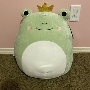 Baratelli Squishmallow Frog!